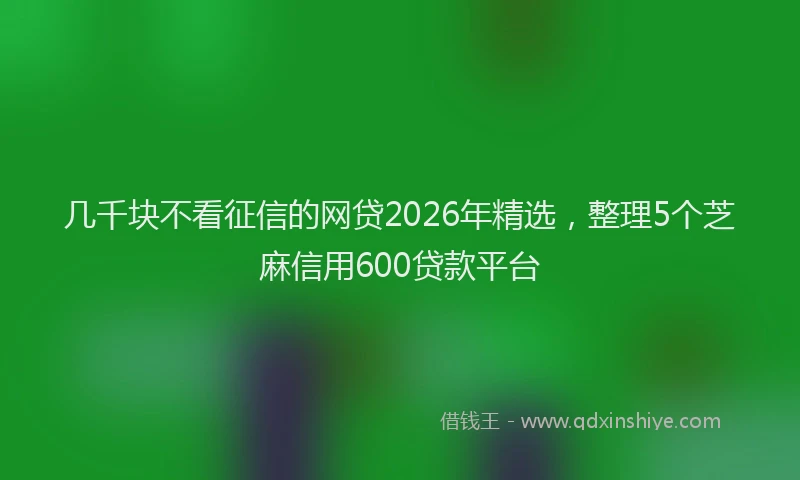 几千块不看征信的网贷2026年精选，整理5个芝麻信用600贷款平台