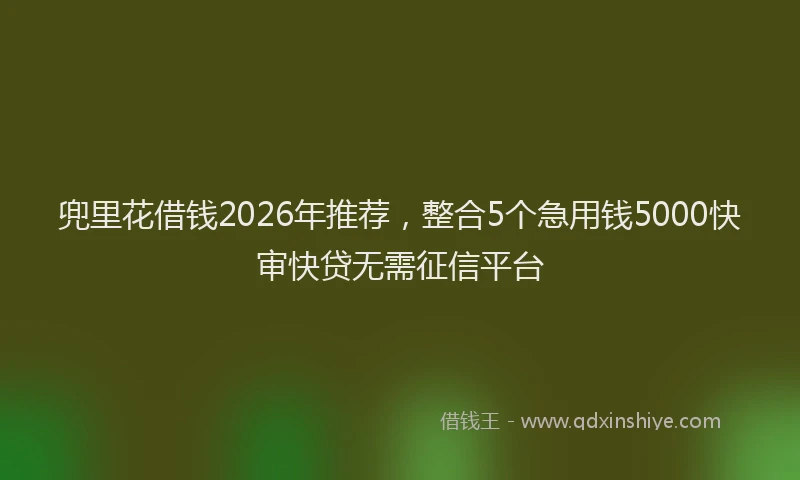兜里花借钱2026年推荐，整合5个急用钱5000快审快贷无需征信平台