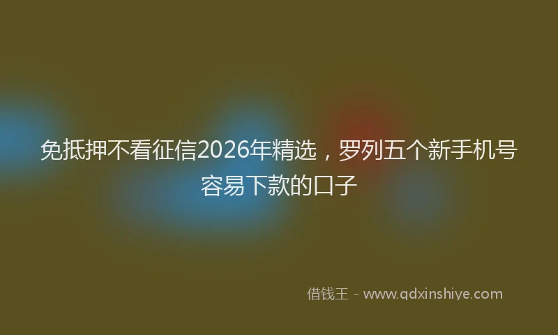 免抵押不看征信2026年精选,罗列五个新手机号容易下款的口子
