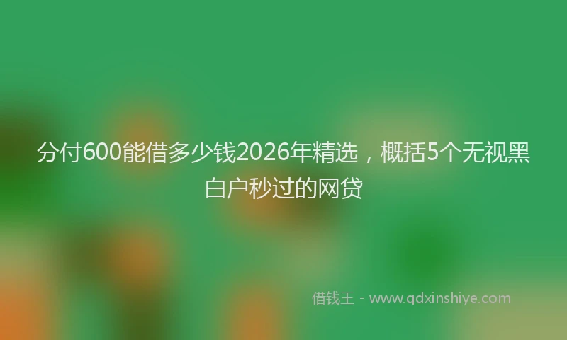 分付600能借多少钱2026年精选，概括5个无视黑白户秒过的网贷