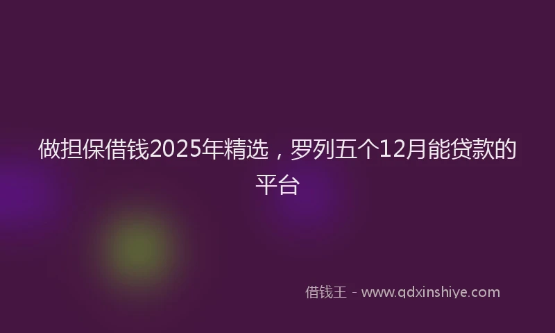 做担保借钱2025年精选，罗列五个12月能贷款的平台