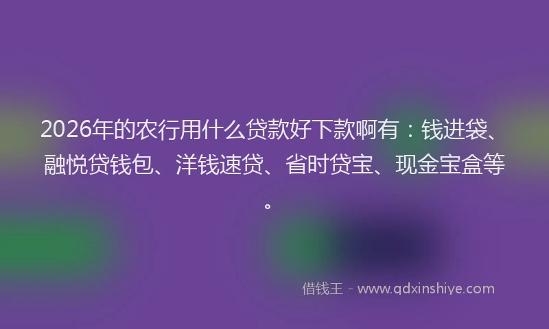 2026年的农行用什么贷款好下款啊有：钱进袋、融悦贷钱包、洋钱速贷、省时贷宝、现金宝盒等。