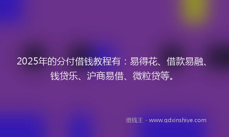2025年的分付借钱教程有：易得花、借款易融、钱贷乐、沪商易借、微粒贷等。