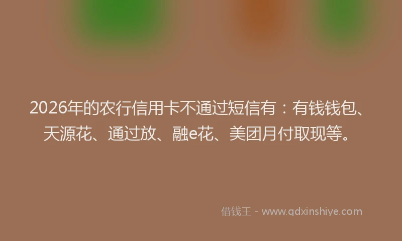 2026年的农行信用卡不通过短信有：有钱钱包、天源花、通过放、融e花、美团月付取现等。
