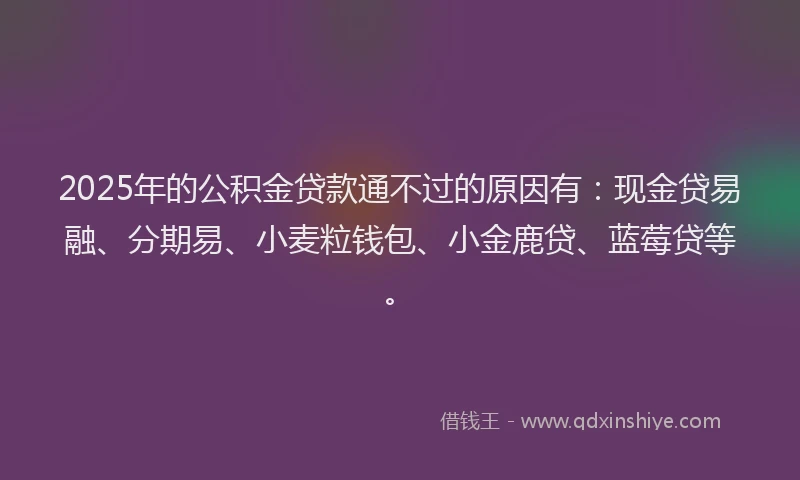 2025年的公积金贷款通不过的原因有：现金贷易融、分期易、小麦粒钱包、小金鹿贷、蓝莓贷等。
