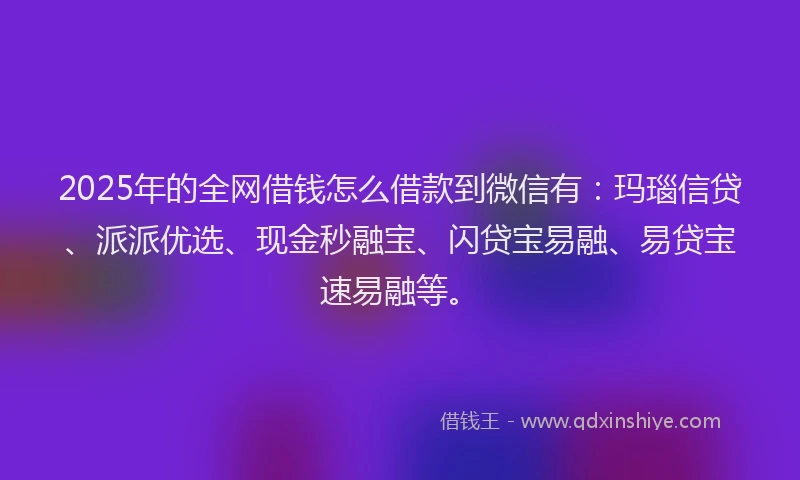 2025年的全网借钱怎么借款到微信有：玛瑙信贷、派派优选、现金秒融宝、闪贷宝易融、易贷宝速易融等。