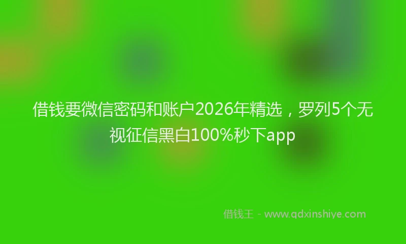 借钱要微信密码和账户2026年精选，罗列5个无视征信黑白100%秒下app
