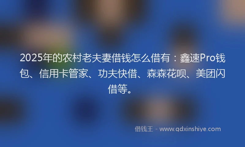 2025年的农村老夫妻借钱怎么借有：鑫速Pro钱包、信用卡管家、功夫快借、森森花呗、美团闪借等。