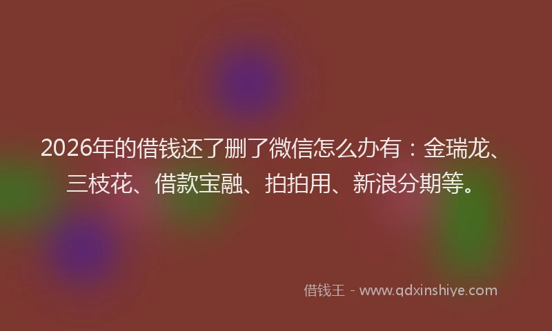 2026年的借钱还了删了微信怎么办有：金瑞龙、三枝花、借款宝融、拍拍用、新浪分期等。
