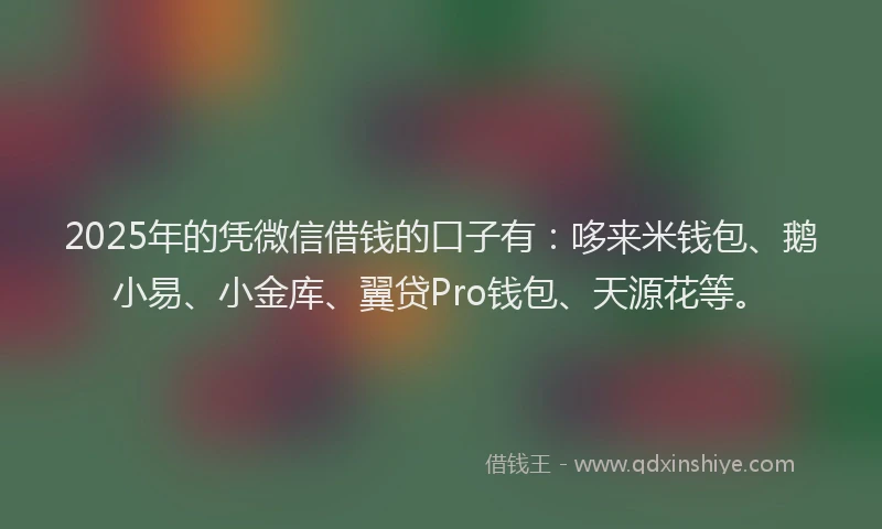 2025年的凭微信借钱的口子有：哆来米钱包、鹅小易、小金库、翼贷Pro钱包、天源花等。