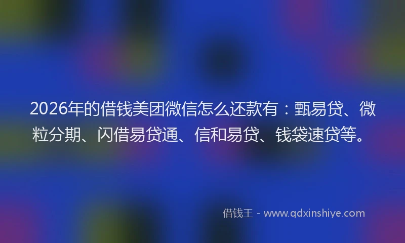 2026年的借钱美团微信怎么还款有:甄易贷、微粒分期、闪借易贷通、信和易贷、钱袋速贷等。