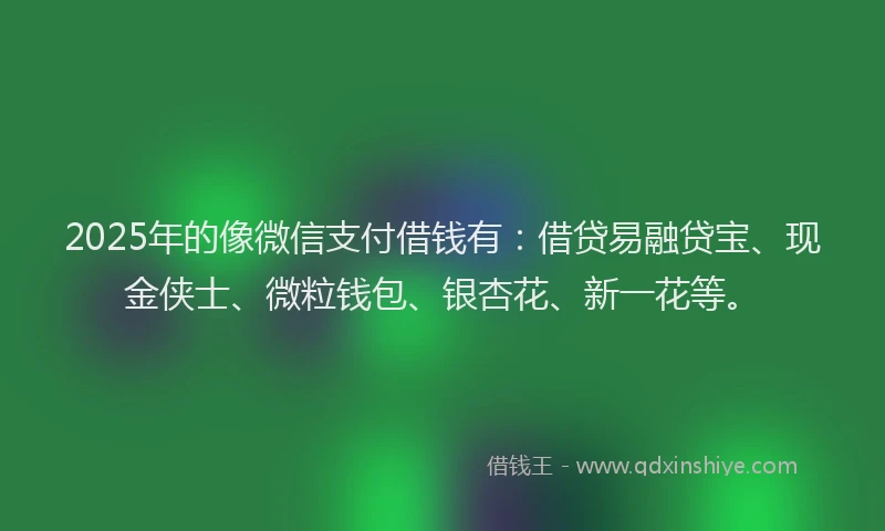 2025年的像微信支付借钱有:借贷易融贷宝、现金侠士、微粒钱包、银杏花、新一花等。
