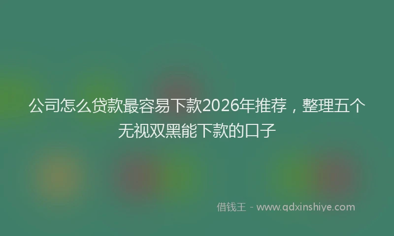 公司怎么贷款最容易下款2026年推荐，整理五个无视双黑能下款的口子