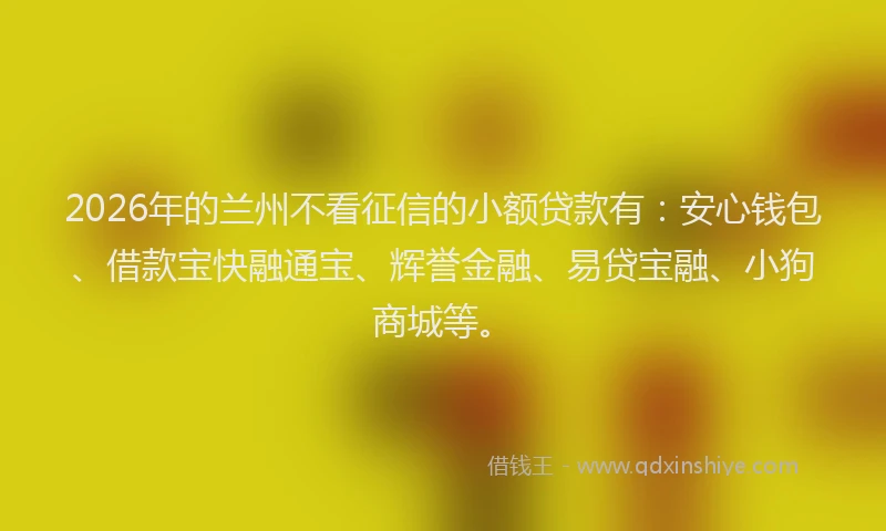 2026年的兰州不看征信的小额贷款有:安心钱包、借款宝快融通宝、辉誉金融、易贷宝融、小狗商城等。