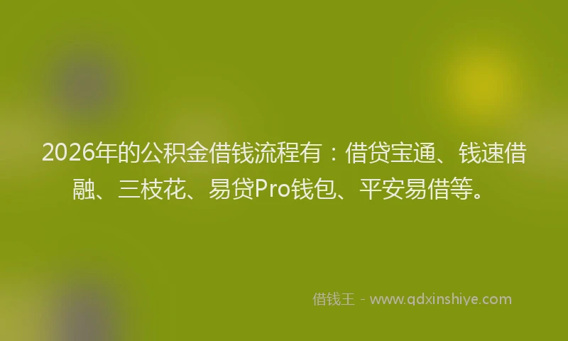 2026年的公积金借钱流程有:借贷宝通、钱速借融、三枝花、易贷Pro钱包、平安易借等。