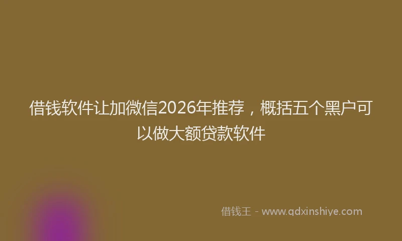 借钱软件让加微信2026年推荐，概括五个黑户可以做大额贷款软件