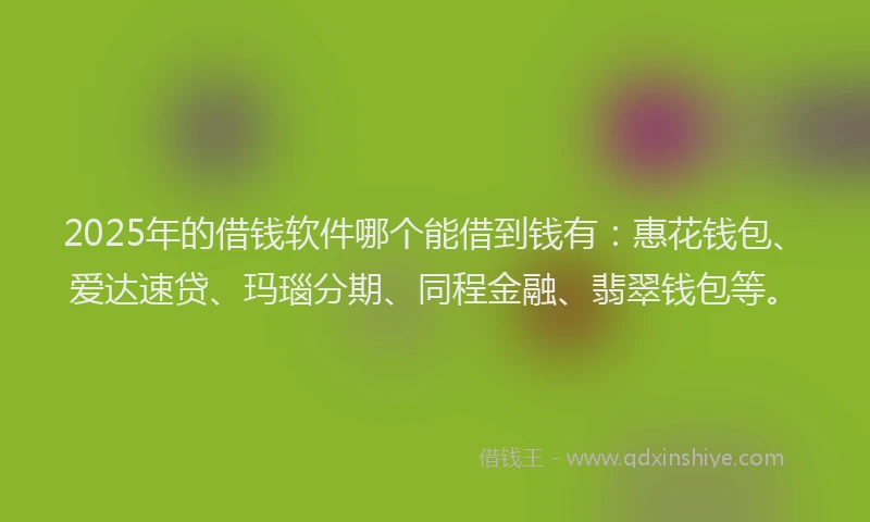 2025年的借钱软件哪个能借到钱有：惠花钱包、爱达速贷、玛瑙分期、同程金融、翡翠钱包等。