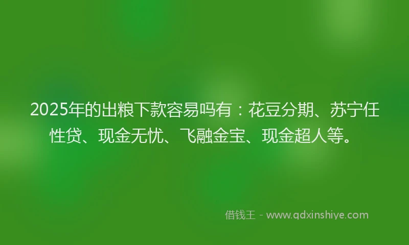 2025年的出粮下款容易吗有：花豆分期、苏宁任性贷、现金无忧、飞融金宝、现金超人等。