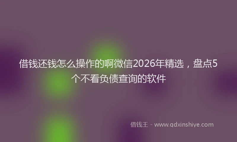 借钱还钱怎么操作的啊微信2026年精选，盘点5个不看负债查询的软件