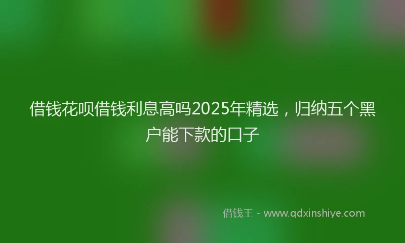 借钱花呗借钱利息高吗2025年精选，归纳五个黑户能下款的口子