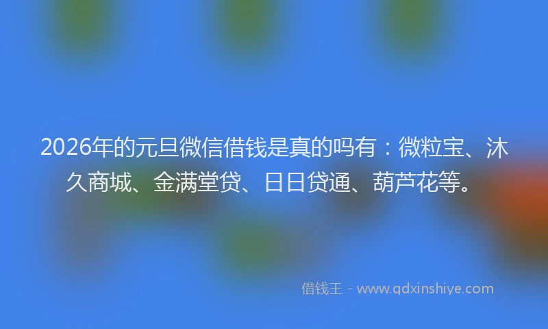 2026年的元旦微信借钱是真的吗有:微粒宝、沐久商城、金满堂贷、日日贷通、葫芦花等。