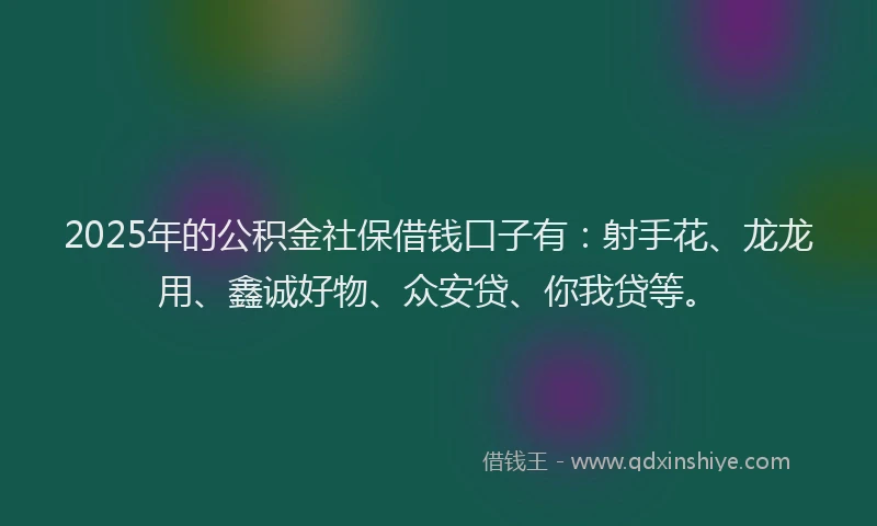 2025年的公积金社保借钱口子有:射手花、龙龙用、鑫诚好物、众安贷、你我贷等。