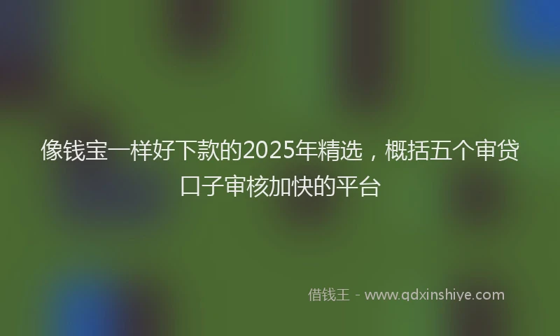 像钱宝一样好下款的2025年精选，概括五个审贷口子审核加快的平台