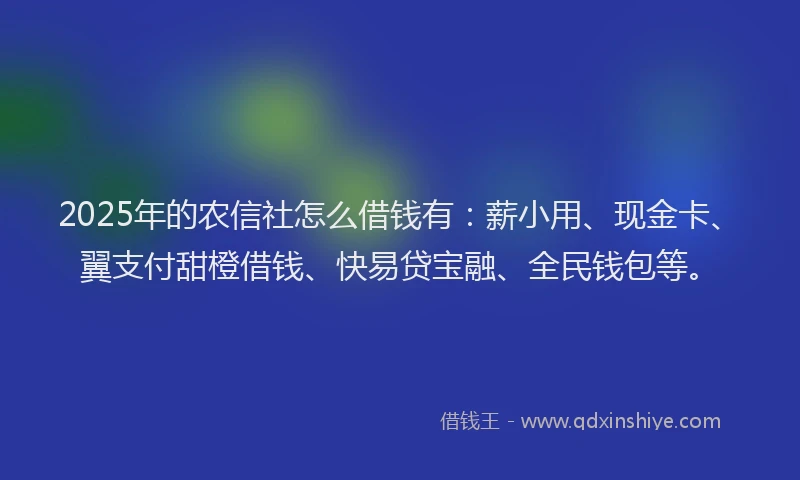 2025年的农信社怎么借钱有：薪小用、现金卡、翼支付甜橙借钱、快易贷宝融、全民钱包等。