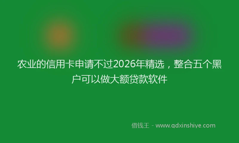 农业的信用卡申请不过2026年精选，整合五个黑户可以做大额贷款软件