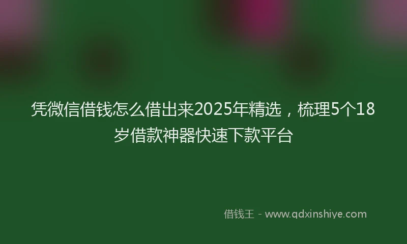 凭微信借钱怎么借出来2025年精选，梳理5个18岁借款神器快速下款平台