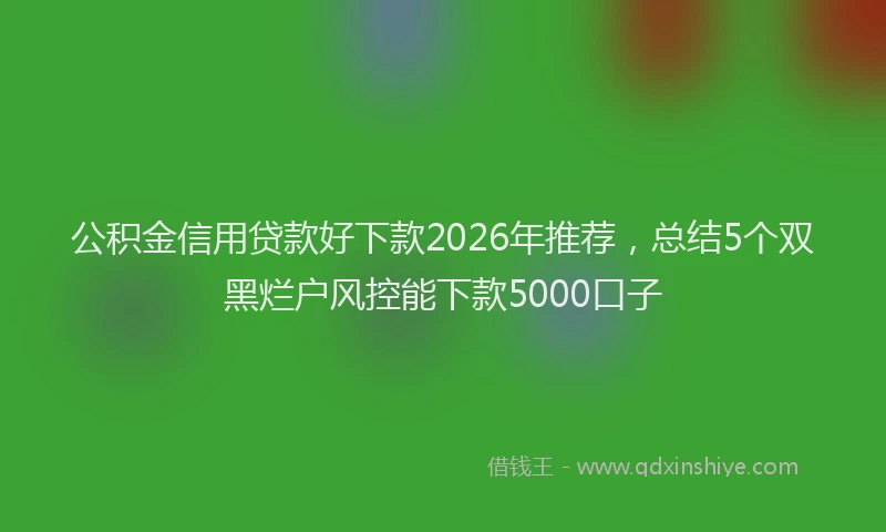 公积金信用贷款好下款2026年推荐，总结5个双黑烂户风控能下款5000口子