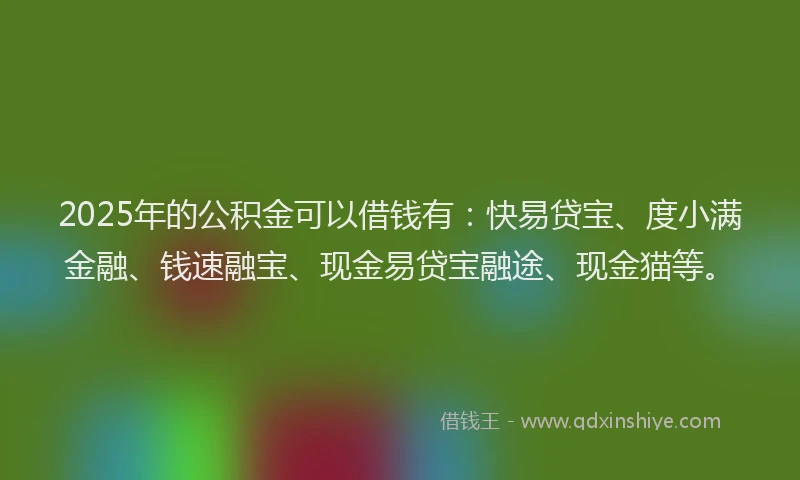 2025年的公积金可以借钱有：快易贷宝、度小满金融、钱速融宝、现金易贷宝融途、现金猫等。