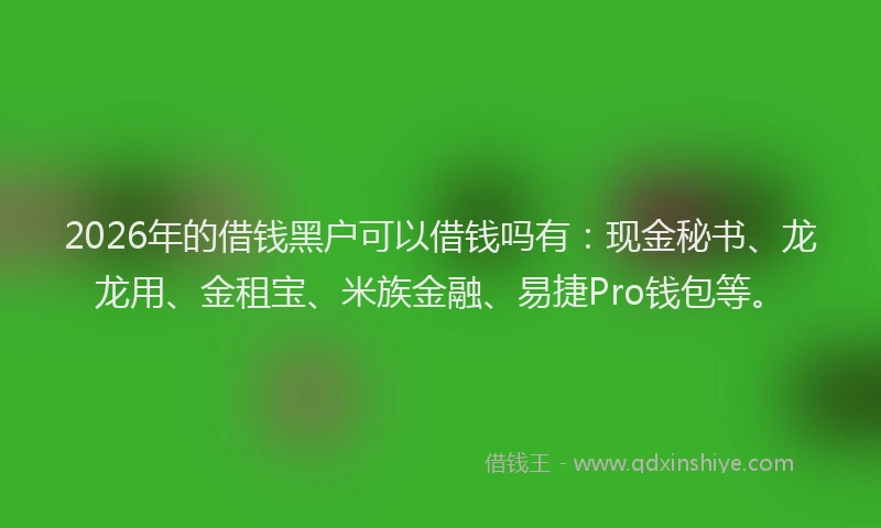 2026年的借钱黑户可以借钱吗有：现金秘书、龙龙用、金租宝、米族金融、易捷Pro钱包等。