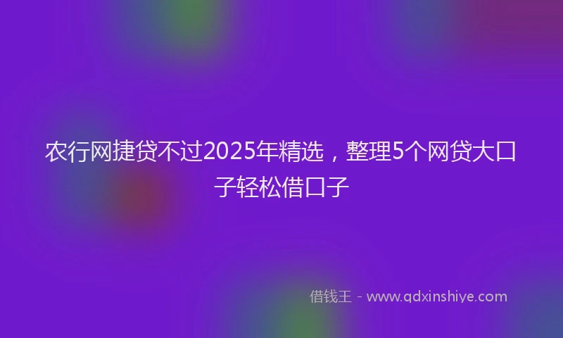 农行网捷贷不过2025年精选，整理5个网贷大口子轻松借口子