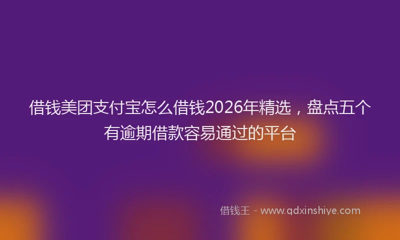 借钱美团支付宝怎么借钱2026年精选，盘点五个有逾期借款容易通过的平台