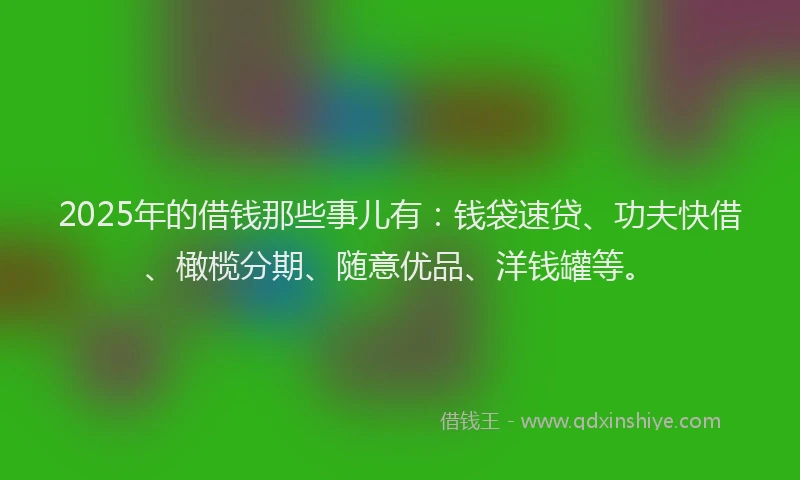 2025年的借钱那些事儿有：钱袋速贷、功夫快借、橄榄分期、随意优品、洋钱罐等。