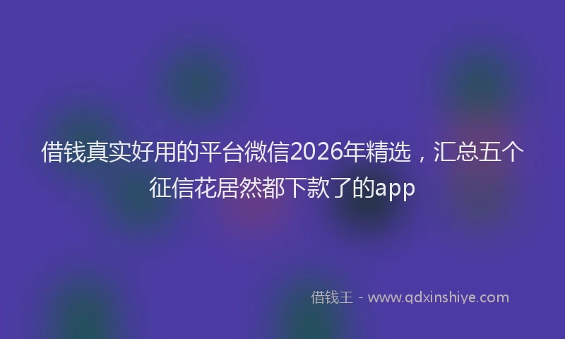 借钱真实好用的平台微信2026年精选，汇总五个征信花居然都下款了的app