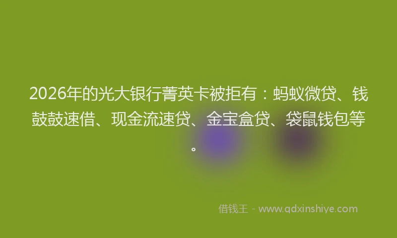 2026年的光大银行菁英卡被拒有:蚂蚁微贷、钱鼓鼓速借、现金流速贷、金宝盒贷、袋鼠钱包等。