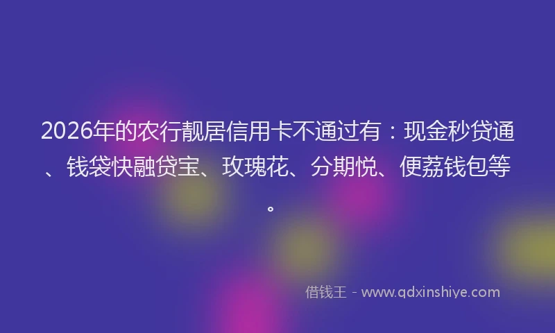 2026年的农行靓居信用卡不通过有：现金秒贷通、钱袋快融贷宝、玫瑰花、分期悦、便荔钱包等。