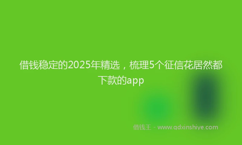 借钱稳定的2025年精选,梳理5个征信花居然都下款的app