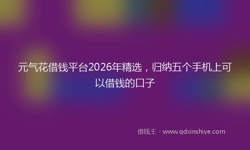 元气花借钱平台2026年精选，归纳五个手机上可以借钱的口子