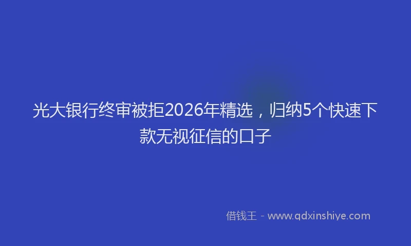 光大银行终审被拒2026年精选，归纳5个快速下款无视征信的口子