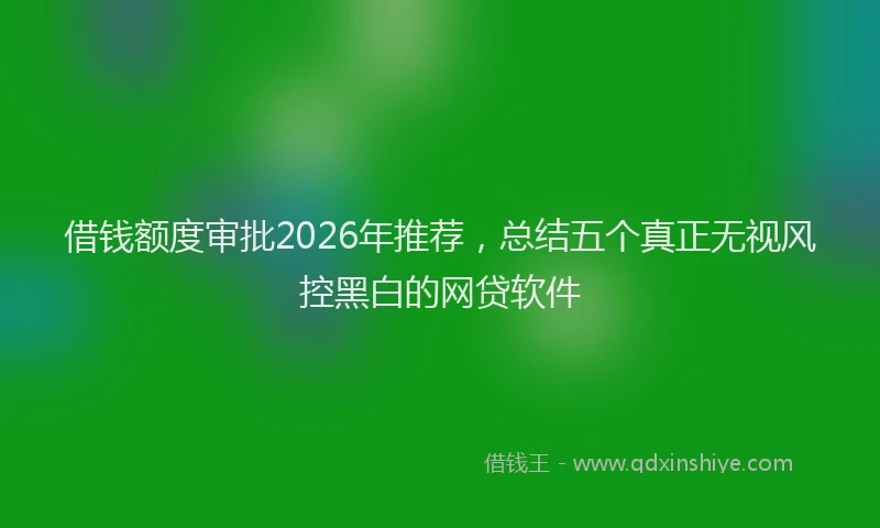 借钱额度审批2026年推荐，总结五个真正无视风控黑白的网贷软件