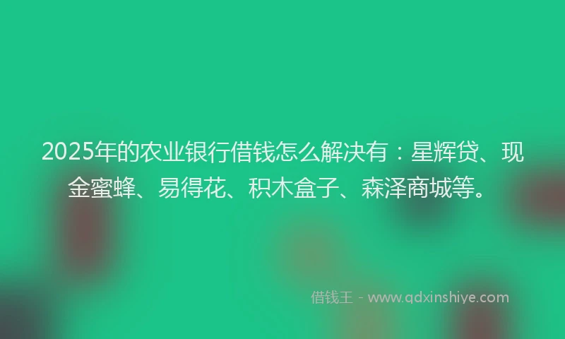 2025年的农业银行借钱怎么解决有:星辉贷、现金蜜蜂、易得花、积木盒子、森泽商城等。