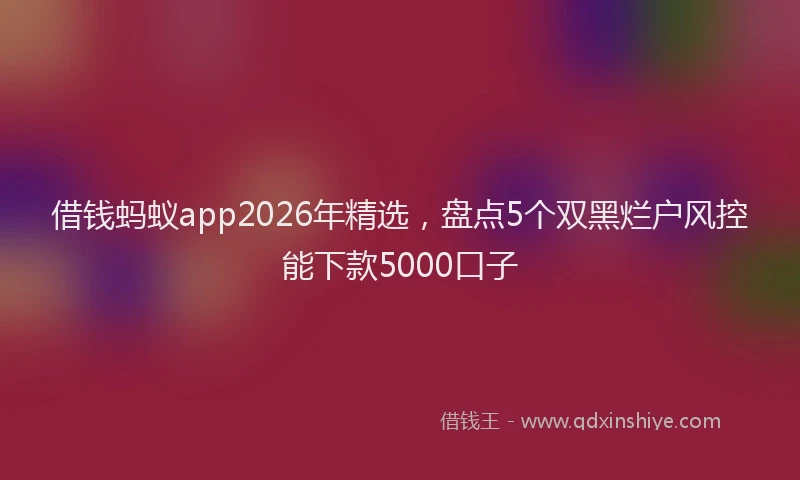 借钱蚂蚁app2026年精选，盘点5个双黑烂户风控能下款5000口子