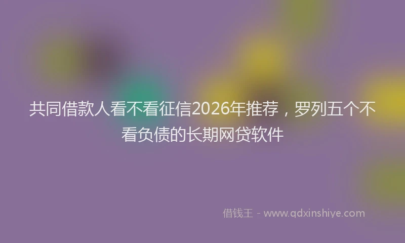共同借款人看不看征信2026年推荐，罗列五个不看负债的长期网贷软件