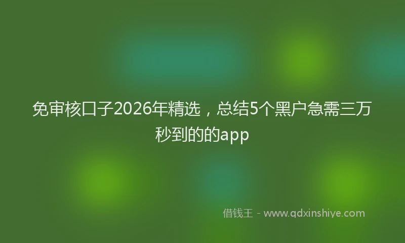 免审核口子2026年精选，总结5个黑户急需三万秒到的的app