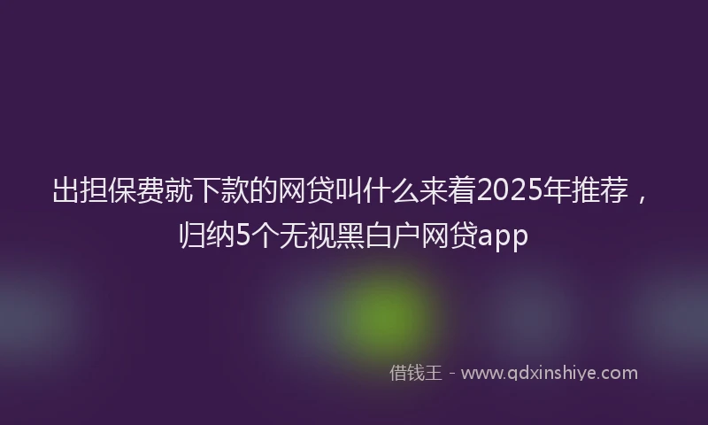 出担保费就下款的网贷叫什么来着2025年推荐，归纳5个无视黑白户网贷app
