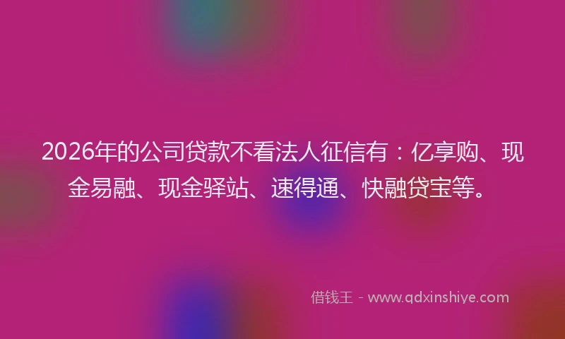 2026年的公司贷款不看法人征信有：亿享购、现金易融、现金驿站、速得通、快融贷宝等。