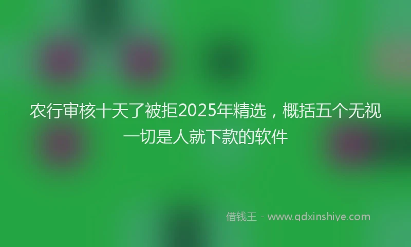 农行审核十天了被拒2025年精选，概括五个无视一切是人就下款的软件